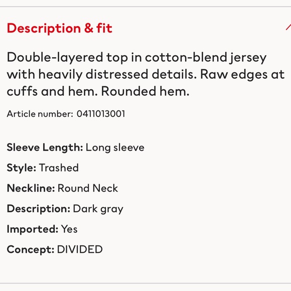 H&M Trashed Top - Picture 10 of 12